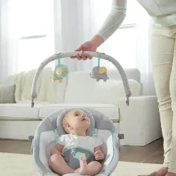Ingenuity Bouncers, Swings & Rockers*- Soothing Baby Bouncer Infant Seat with Vibrations, Morrison