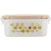 Innobaby Lunch Boxes & Bags|Lunch Box*Keepin' Fresh Stainless Steel Bento Lunch Box/Food Container, Orange/Fish