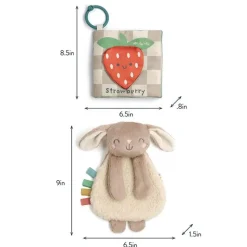 Itzy Ritzy Stroller & Car Seat Toys|Easter*- Itzy Learn & Snuggle Gitf Set, Bunny