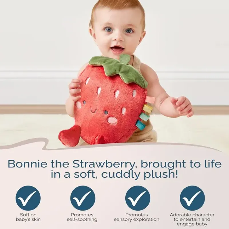 Itzy Ritzy Rattles & Teethers*- Sweetie Snuggles Plush, Strawberry