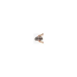 Ju-Ju-Be Handbags & Accessories*Ju Ju Be - Be Dapper - Catch The Golden Snitch Cgs