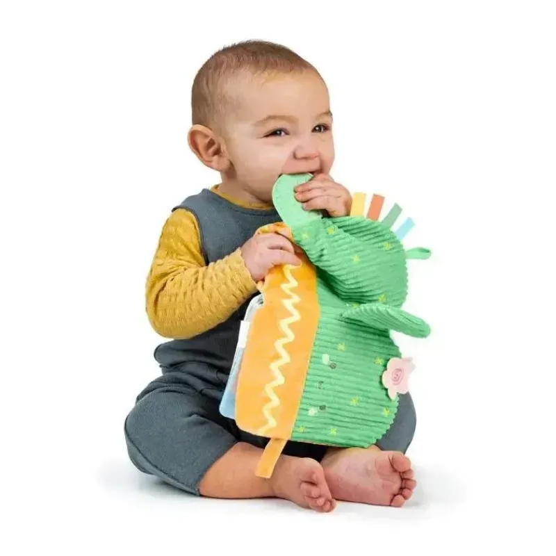 Ingenuity Rattles & Teethers*Kids II - Calm Springs Soft Teething Activity Book