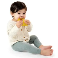 Ingenuity Rattles & Teethers*Kids II - Cool Bite Water Teether Bomby