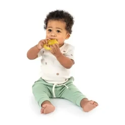 Ingenuity Rattles & Teethers*Kids II - Cool Bite Water Teether Bomby