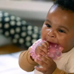 Ingenuity Rattles & Teethers*Kids II - Cool Bite Water Teether Daisy