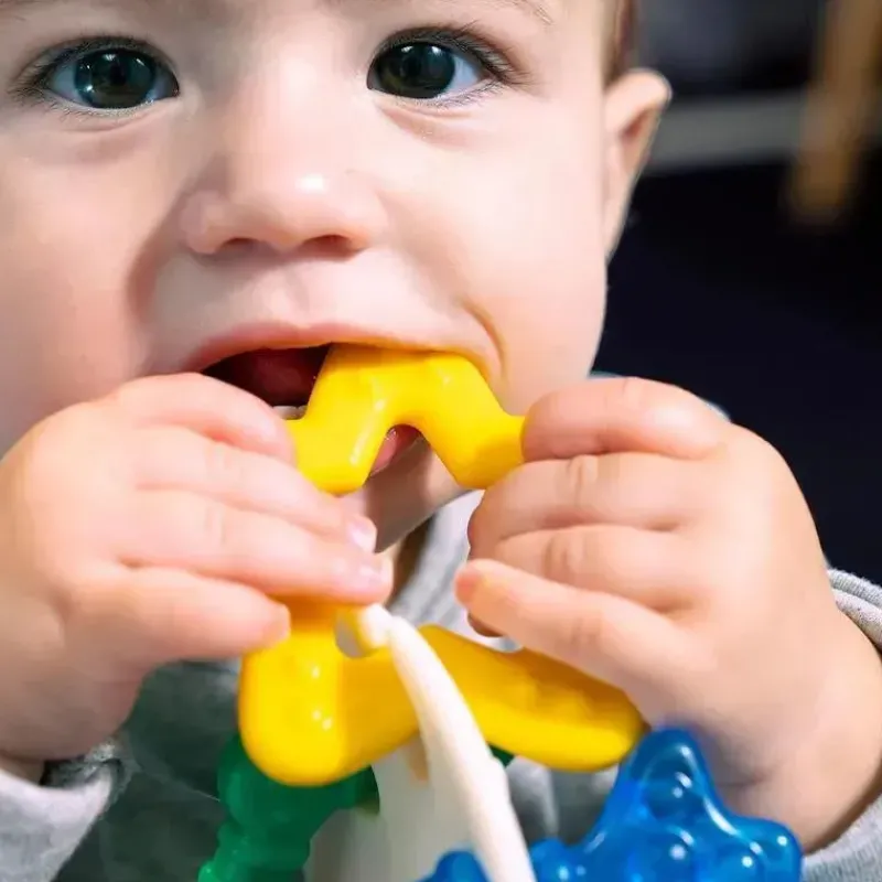 Baby Einstein Rattles & Teethers|Toys For 0-12 Months*Kids II - Sea Of Sensory Teether Toy