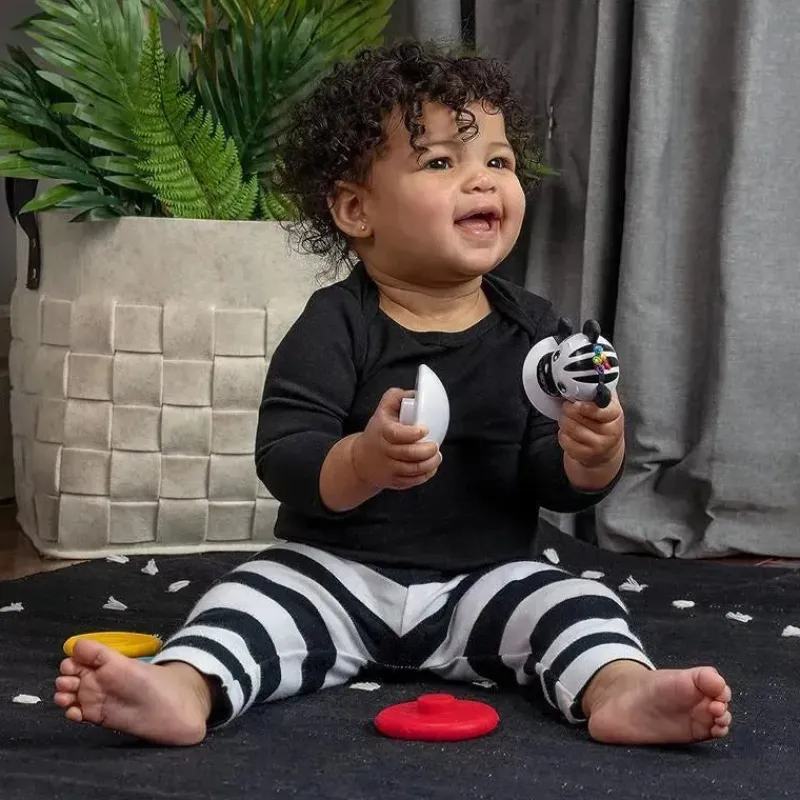 Baby Einstein Rattles & Teethers*Kids II - Stack & Wobble Zen Teether Toy