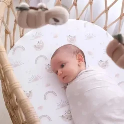 Living Textiles Swaddles & Wearable Blankets*- 2Pk Rainbow Sloth Jersey Swaddle