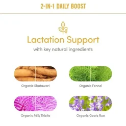 Munchkin Postpartum|Maternity Health & Wellness*- Milkmakers Daily Boost 2-in-1 Lactation Supplements for Breastfeeding