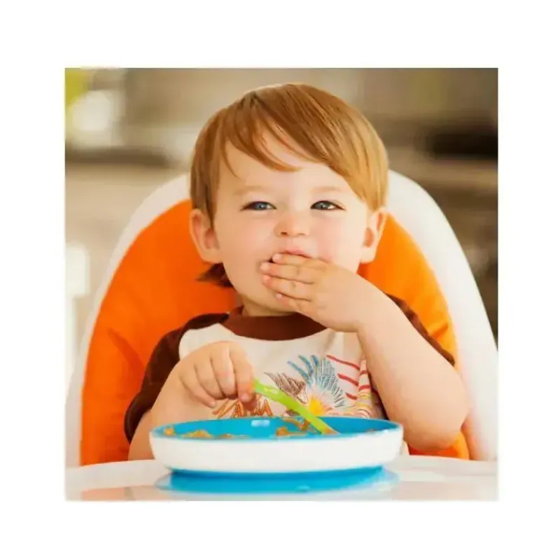 Munchkin Suction Plates & Bowls|Dishes, Utensils & Food Containers*2019 Stay Put Suction Plate, Assorted Colors (Blue, Purple, Green & Pink)