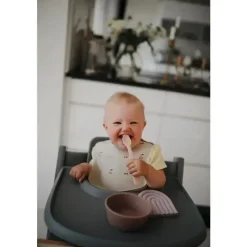 Mushie Suction Plates & Bowls|Dishes, Utensils & Food Containers*- Silicone Suction Bowl Baby - Cloudy Mauve