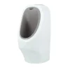 Nuby Potty Training*- My Real Urinal Training Toilet