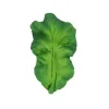 Oli u0026 Carol Rattles & Teethers|Toys For 0-12 Months*Oli & Carol - Chewable Toy, Kendall The Kale