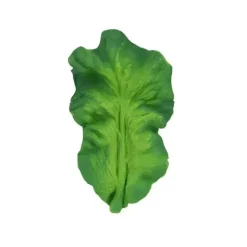 Oli u0026 Carol Rattles & Teethers|Toys For 0-12 Months*Oli & Carol - Chewable Toy, Kendall The Kale