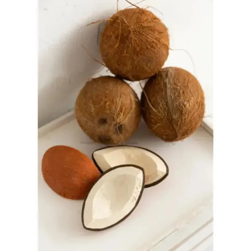 Oli u0026 Carol Gift For Baby*Oli & Carol - Coco The Coconut, Chewable toy