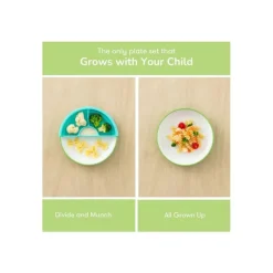 OmieBox Plates & Bowls|Dishes, Utensils & Food Containers*Omie - Toddler Plate With Divider, Green | 3 plates & 2 dividers