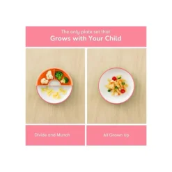 OmieBox Plates & Bowls|Dishes, Utensils & Food Containers*Omie - Toddler Plate With Divider, Pink | 3 plates & 2 dividers