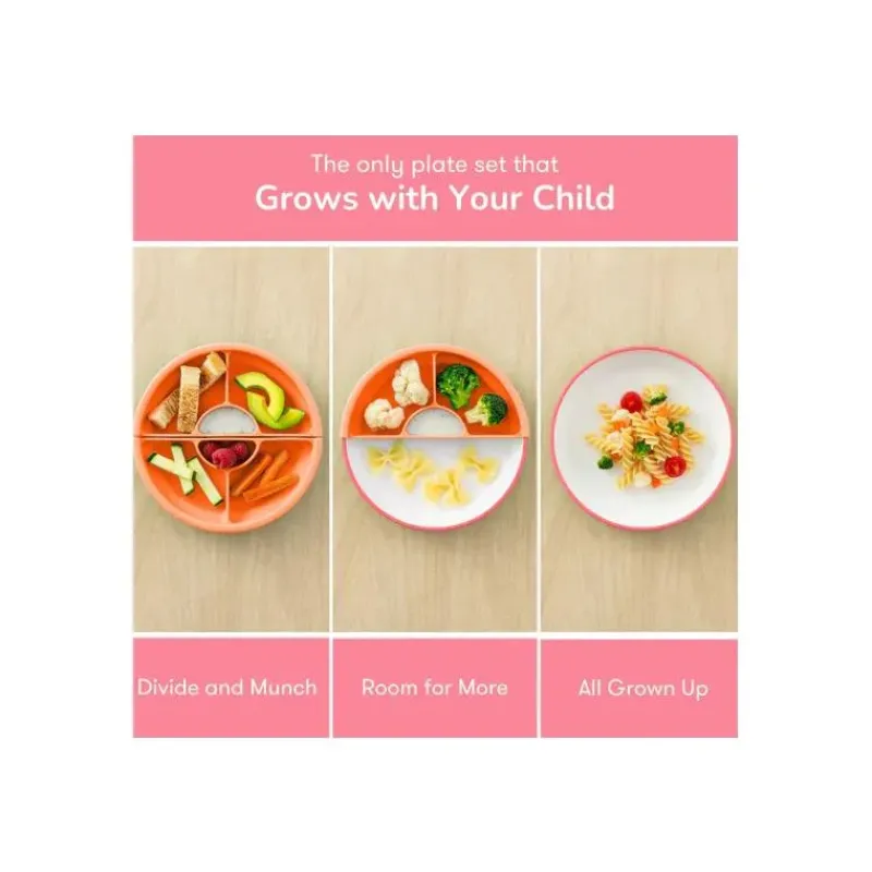 OmieBox Plates & Bowls|Dishes, Utensils & Food Containers*Omie - Toddler Plate With Divider, Pink | 3 plates & 2 dividers