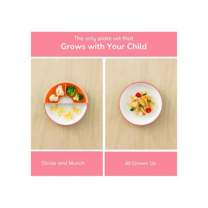 OmieBox Plates & Bowls|Dishes, Utensils & Food Containers*Omie - Toddler Plate With Divider, Pink | 1 plate