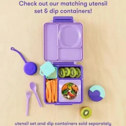OmieBox Utensils & Accessories|Dishes, Utensils & Food Containers*- Divider Teal, Purple Plum