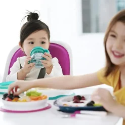 Oxo Suction Plates & Bowls|Dishes, Utensils & Food Containers*- Tot Stick & Stay Divided Plate, Pink