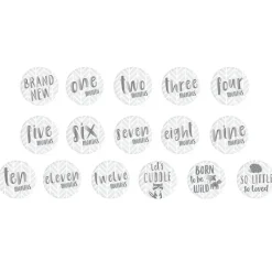 Pearhead Baby Baby Milestone*Pearhead - All About Me Baby's Memory Book and Belly Sticker Set