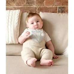 Pearhead Baby Gender Reveal*And Pet Bib Set, Gray