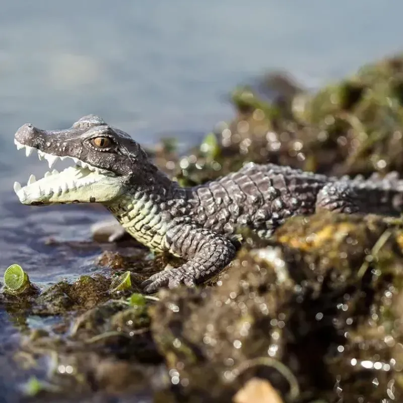 Safari Ltd Pretend Play*. - Caiman Figurine, Realistic 5 Reptile Figure