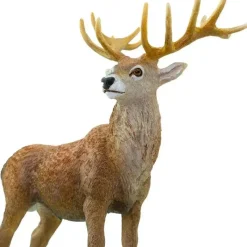 Safari Ltd Pretend Play*. - Red Deer Stag Figurine, Detailed 4.75 Figure