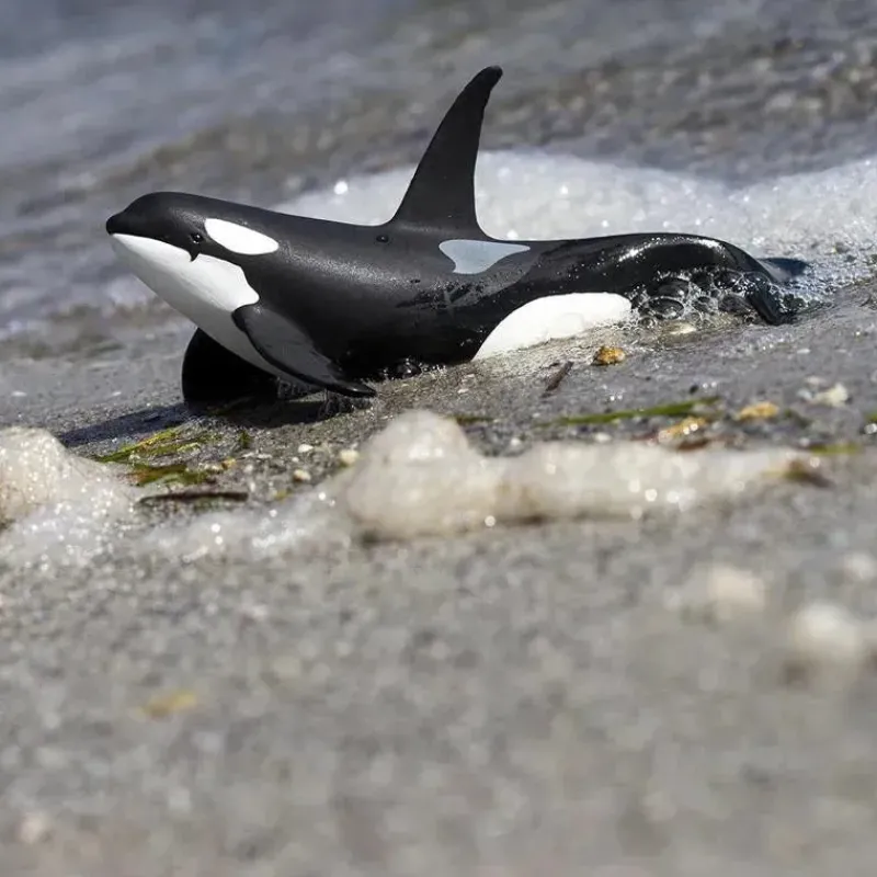 Safari Ltd Pretend Play*. - Wild Safari Sea Life Orca Figurine