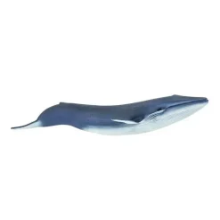 Safari Ltd Pretend Play*Blue Whale Wild Safari Sea Life
