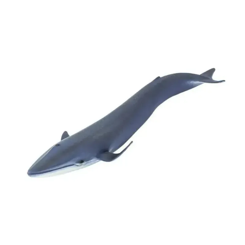 Safari Ltd Pretend Play*Blue Whale Wild Safari Sea Life
