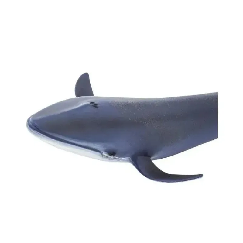 Safari Ltd Pretend Play*Blue Whale Wild Safari Sea Life