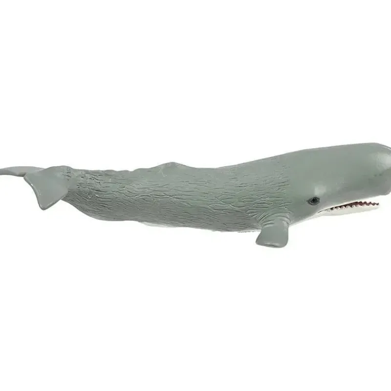 Safari Ltd Pretend Play*Sperm Whale Wild Safari Sea Life