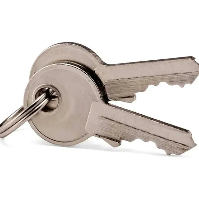 Samsonite Luggage & Accessories*- Travel Sentry 2-Pack Key Locks, Brass