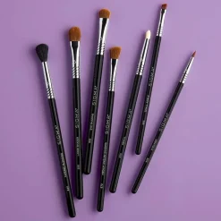 Sigma Books, Music & Dvds*Basic Makeup Eye Brush Kit
