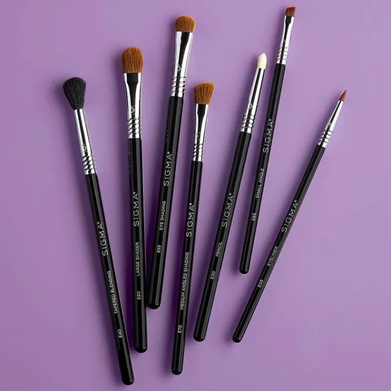 Sigma Books, Music & Dvds*Basic Makeup Eye Brush Kit
