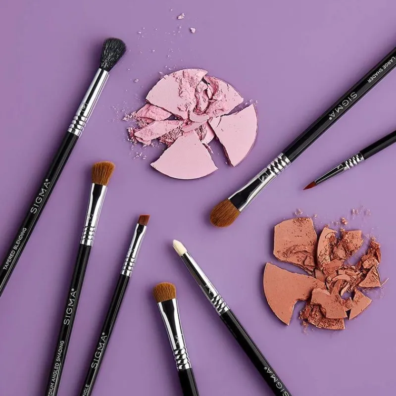 Sigma Books, Music & Dvds*Basic Makeup Eye Brush Kit