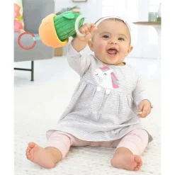 Skip Hop Toys For 0-12 Months|Stroller Toys*- Cactus Jitter Hanging Toy