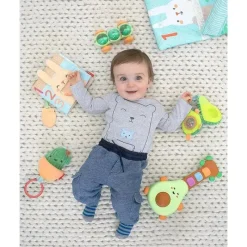 Skip Hop Toys For 0-12 Months|Stroller Toys*- Cactus Jitter Hanging Toy