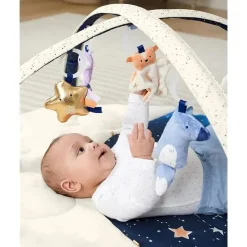 Skip Hop Activity Centers & Jumpers|Toys For 0-12 Months*- Celestial Dreams Activity Gym 0+