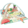 Skip Hop Activity Centers & Jumpers|Toys For 0-12 Months*- Farmstand Activity Gym, Colorful Garden