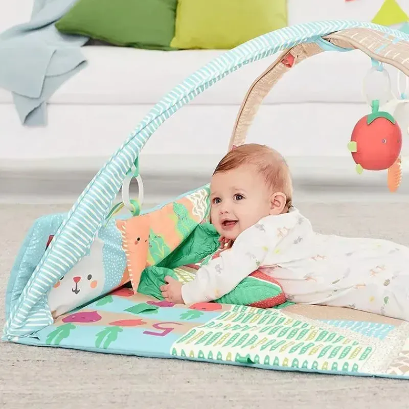 Skip Hop Activity Centers & Jumpers|Toys For 0-12 Months*- Farmstand Activity Gym, Colorful Garden