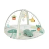 Skip Hop Playmats & Gyms|Toys For 0-12 Months*- Garden Oasis Activity Gym