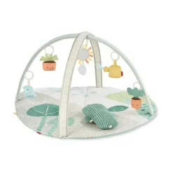 Skip Hop Playmats & Gyms|Toys For 0-12 Months*- Garden Oasis Activity Gym