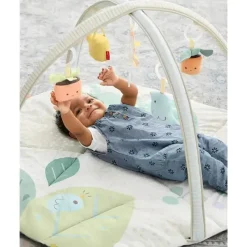 Skip Hop Playmats & Gyms|Toys For 0-12 Months*- Garden Oasis Activity Gym