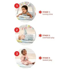 Skip Hop Playmats & Gyms|Toys For 0-12 Months*- Silver Lining Cloud Activity Gym