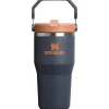 Stanley Water Bottle|Dishes, Utensils & Food Containers*- IceFlow 2.0 Flip Straw Tumbler with Handle 20 Oz, Twilight