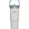 Stanley Water Bottle|Dishes, Utensils & Food Containers*- 30Oz IceFlow Stainless Steel Tumbler with Straw, Fog