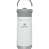 Stanley Water Bottle|Dishes, Utensils & Food Containers*- 17Oz IceFlow Stainless Steel Bottle with Straw, Polar